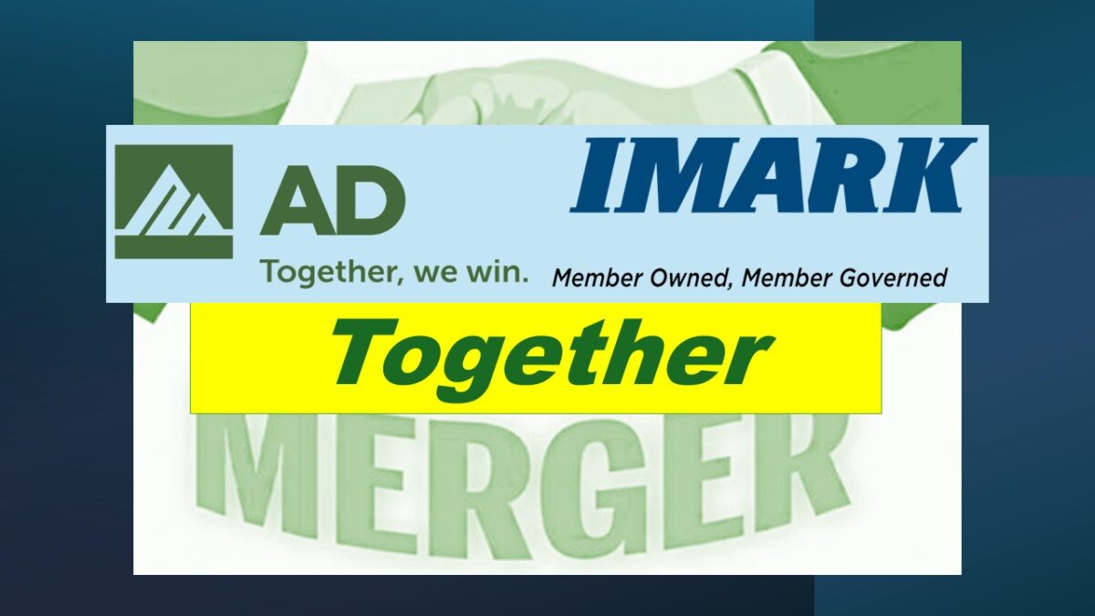 AD IMARK Merger