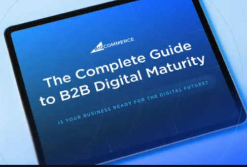 Digital Maturity